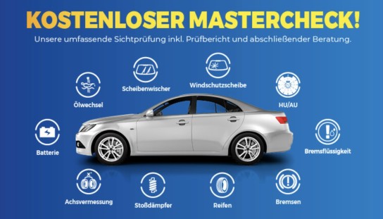 Euromaster: Kostenloser Mastercheck