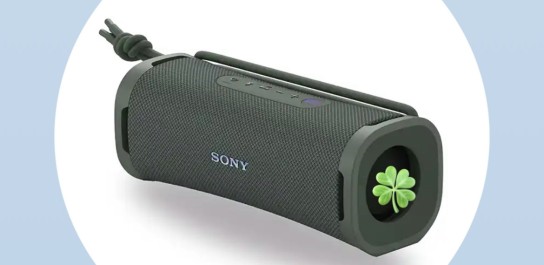 Eichhorn Recycling - 1 Sony Bluetooth-Box