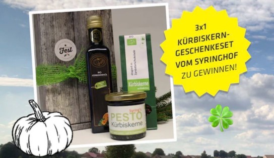 Landvergnügen - Drei Geschenkesets mit Kürbis-Produkten vom Syringhof. Enthalten sind eine Flasche Bio Kürbiskernöl, eine Tüte Bio Kürbiskerne dragiert in Zartbitterschokolade, sowie ein Glas Bio Kürbiskern Pesto.