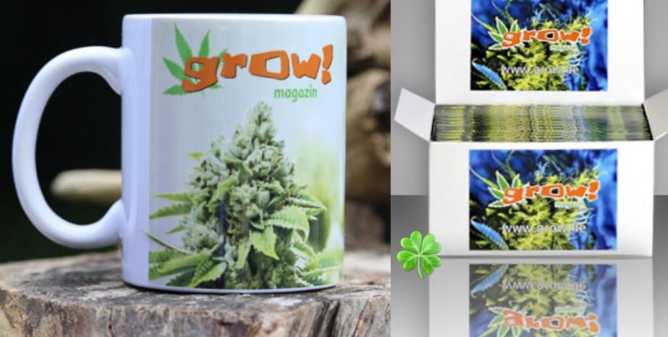 Hanf Verlag -  3 grow! Paper-Boxen  (mit 26 Hanf Paper) und 2 grow! Tassen