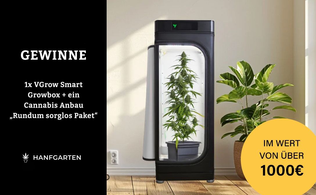 Hanfgarten: ein Grow-Paket im Wert von über 1.000 €