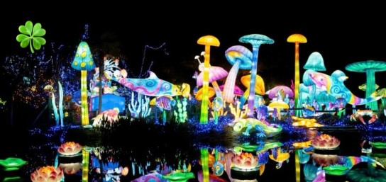 Lifestyle - 5 x 2 Kombitickets, die den Eintritt in den Zoo von Amnéville inklusive Besuch des Lichtfestivals 