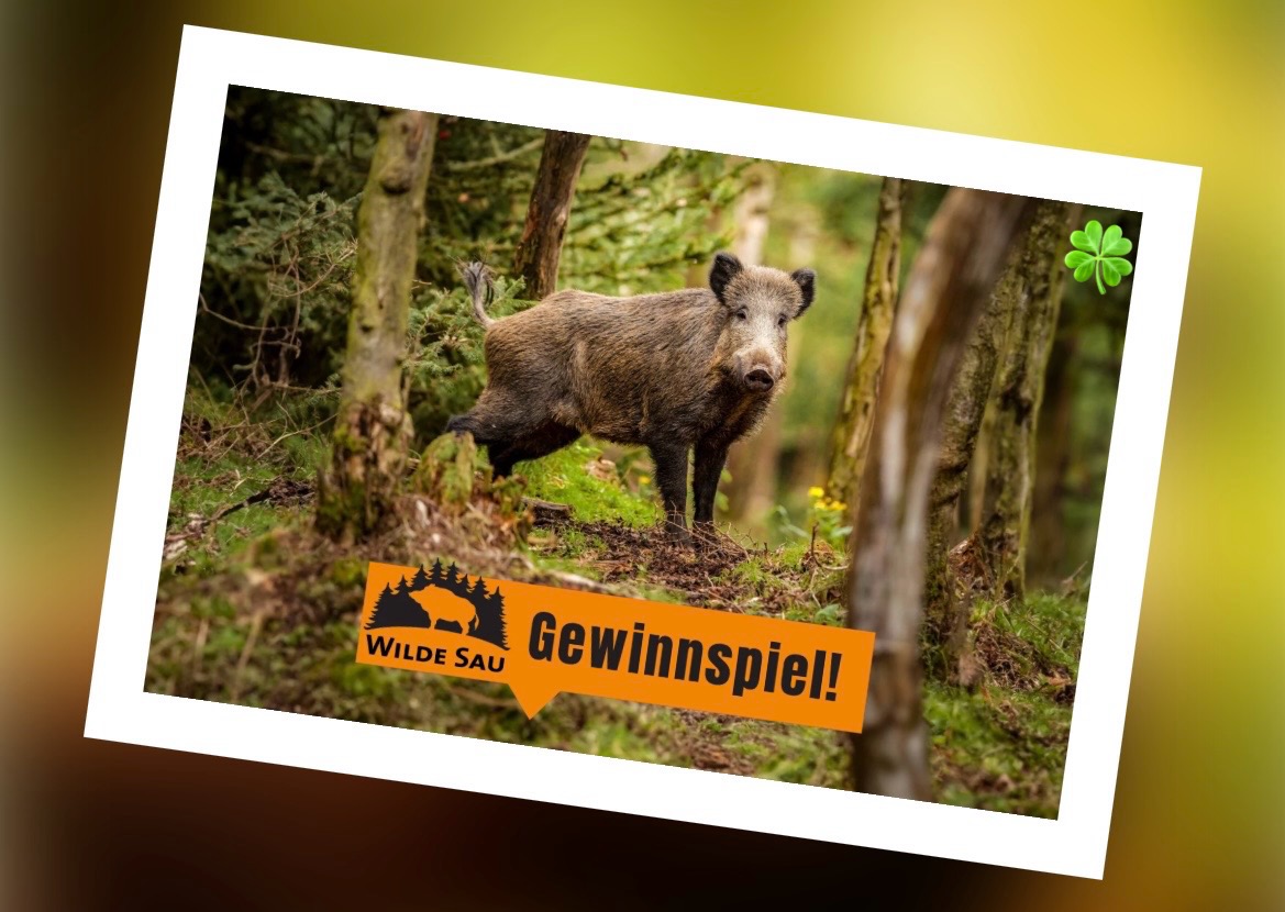 Naturpark Schwarzwald - „Wilde-Sau-Sack“ und/oder andere leckere Schwarzwald-Spezialitäten (je nach Verfügbarkeit)