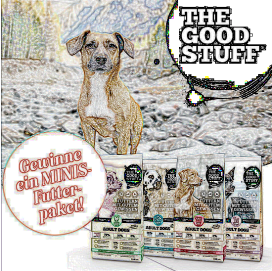 Good4Pets - Ein MINIS Futterpaket von THE GOODSTUFF für deinen Hund bestehend aus je 1 kg Huhn, Lachs, Rind und Pferd