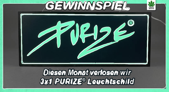 Chillhouse - 3x ein PURIZE Leuchtschild