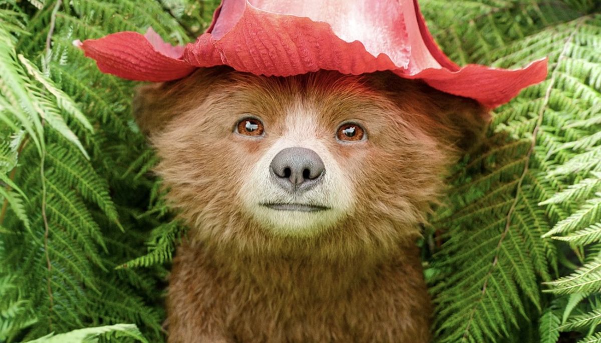 Gewinnspiel: "Paddington in Peru" - 5x2 Kinotickets und Postkarten gewinnen