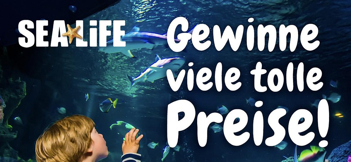 Knabbi - 1. Preis: Eine Sea Life Premium Familien-Jahreskarte, 2.-6. Preis: Je 2 Freikarten für eine Sea Life Attraktion in Deutschland,7.-10. Preis: Je 1 Plüsch-Hai