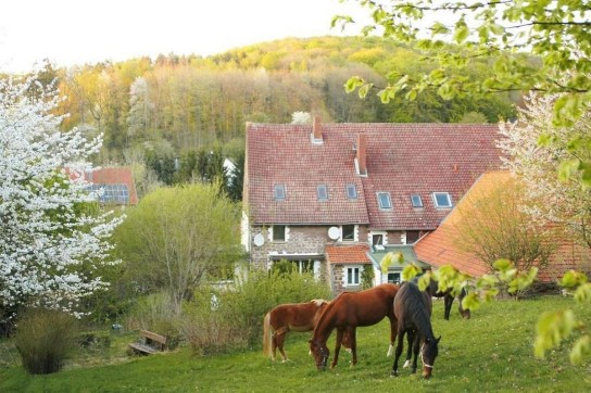 BRF1 - ein Urlaub für zwei Personen auf dem Eichenhof Kalletal im Lippeland