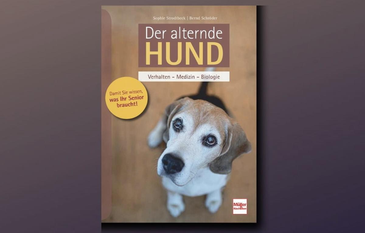 Gewinnspiel: Gewinnen Sie zwei großartige Hundebücher von Sophie Strodtbeck!