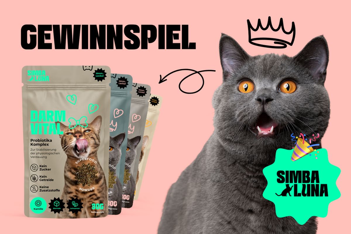 Gewinnspiel: Natürliche Futterergänzungen von Simbaluna für deine Katze gewinnen