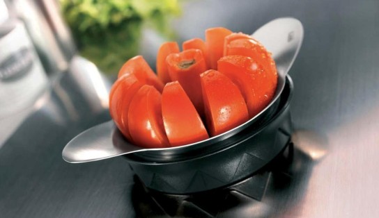 geniessen-reisen -  10 mal 1 Tomaten- und Apfelteiler