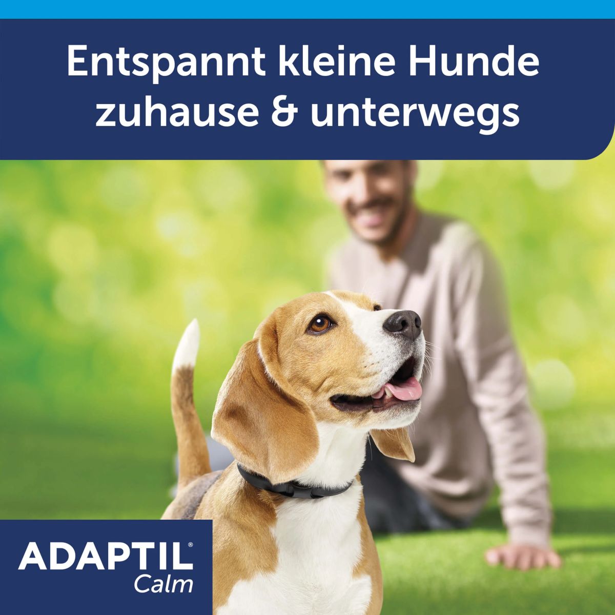 Gewinnspiel: 10x ADAPTIL Calm Halsband für deinen Hund