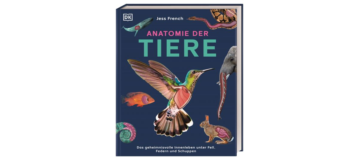 Gewinnspiel: 3x ein Sachbuch „Anatomie der Tiere“