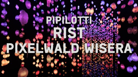 ARTE - 5 x 2 Freikarten für den Besuch der Installation Pixelwald Wisera von Pipilotti Rist in der Kunsthalle Bremen