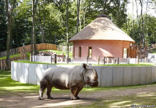 Ostsee Zeitung - eine Jahreskarte für den Zoo Schwerin